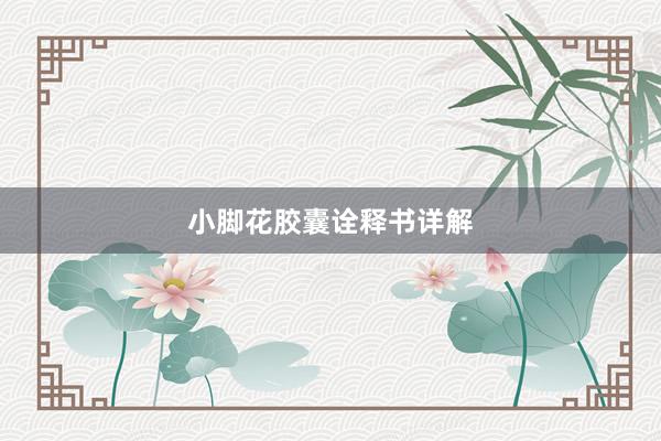 小脚花胶囊诠释书详解