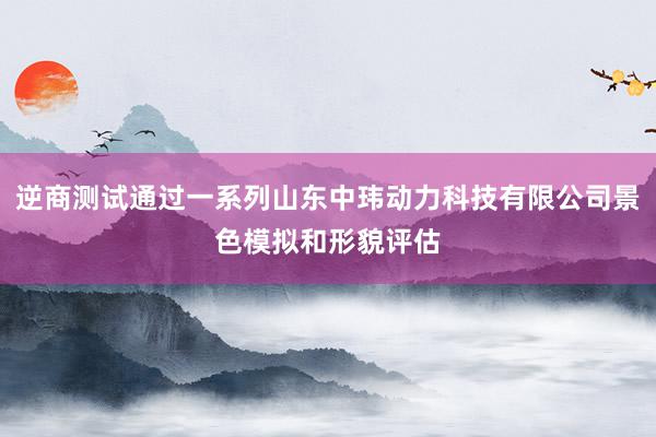 逆商测试通过一系列山东中玮动力科技有限公司景色模拟和形貌评估
