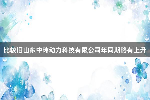 比较旧山东中玮动力科技有限公司年同期略有上升