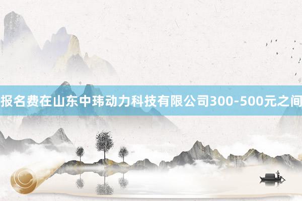 报名费在山东中玮动力科技有限公司300-500元之间