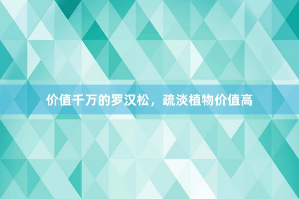 价值千万的罗汉松，疏淡植物价值高