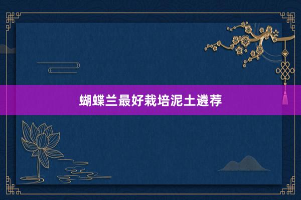 蝴蝶兰最好栽培泥土遴荐