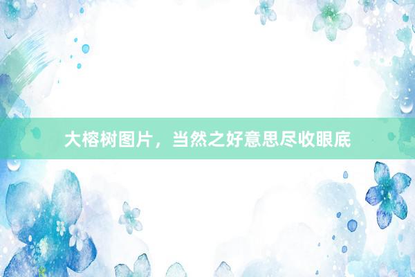 大榕树图片,当然之好意思尽收眼底