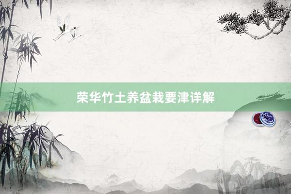 荣华竹土养盆栽要津详解