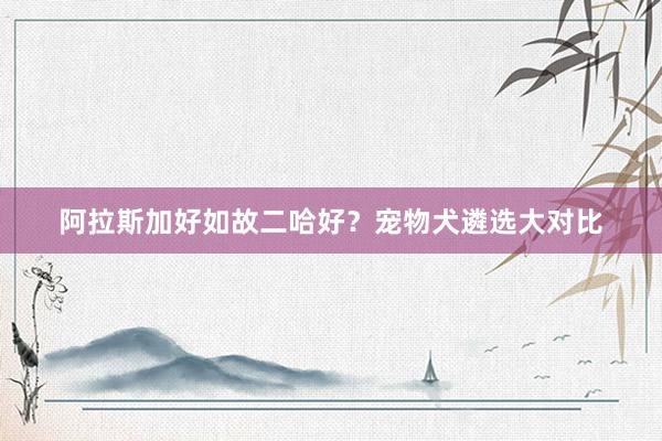 阿拉斯加好如故二哈好？宠物犬遴选大对比