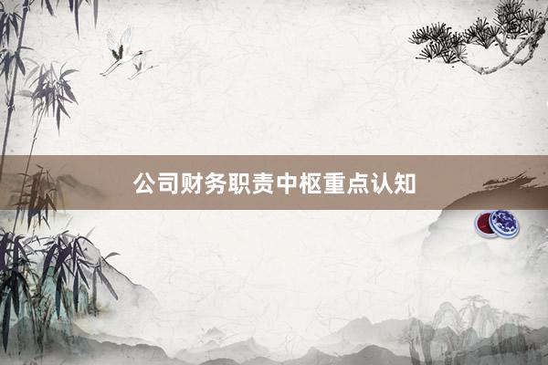 公司财务职责中枢重点认知